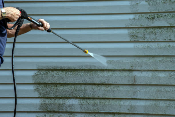 Best Exterior Home Cleaning  in Menomonie, WI