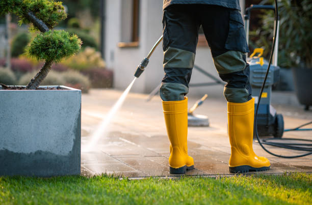 Best Roof Power Washing Services  in Menomonie, WI